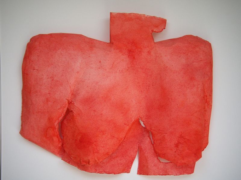 6_torso