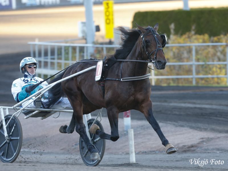 Francesco Zet Örjan Kihlström Solvalla