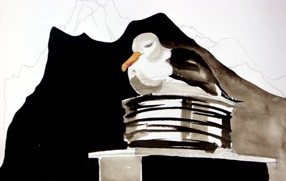 Torbjörn:s bilder_1